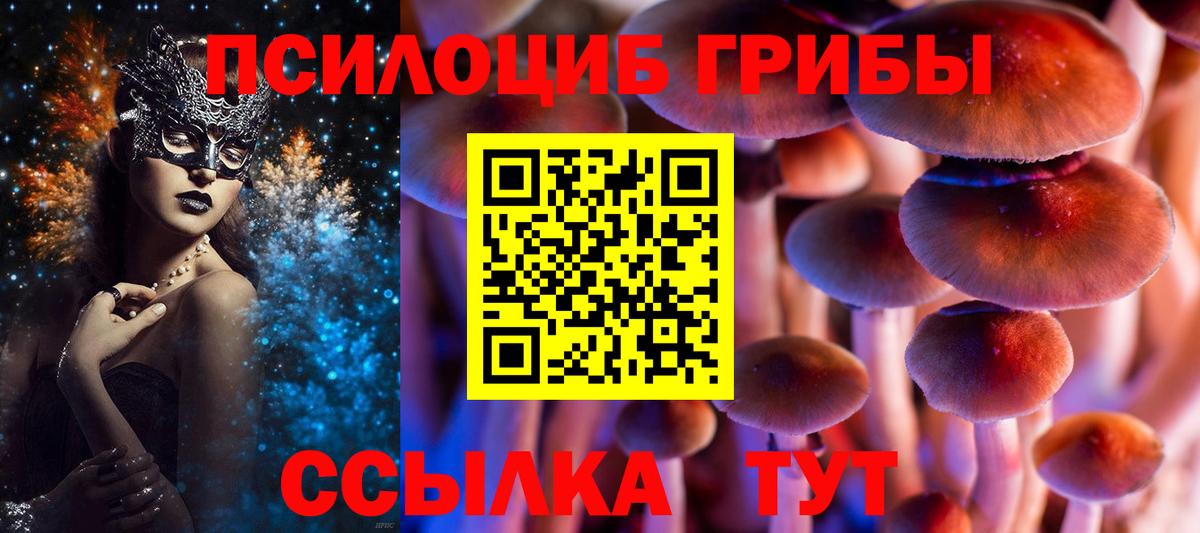 Галлюциногенные грибы MAGIC MUSHROOMS  Вход с VPN  Галлюциногенные грибы прущие грибы  Тольятти 